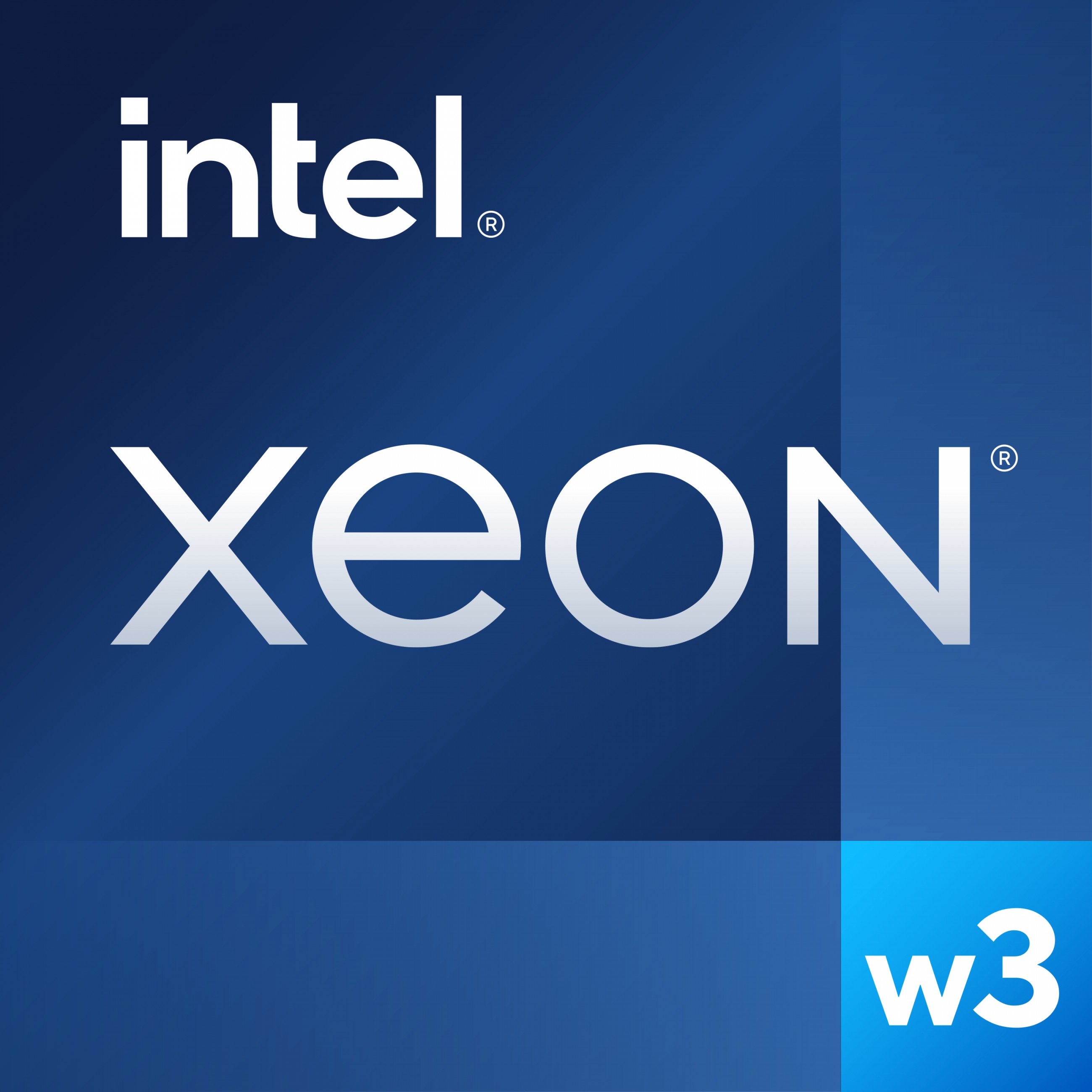 Intel Intel S4677 XEON W3-2435 TRAY