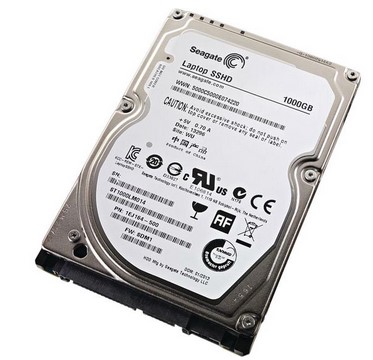 Seagate Enterprise 1TB