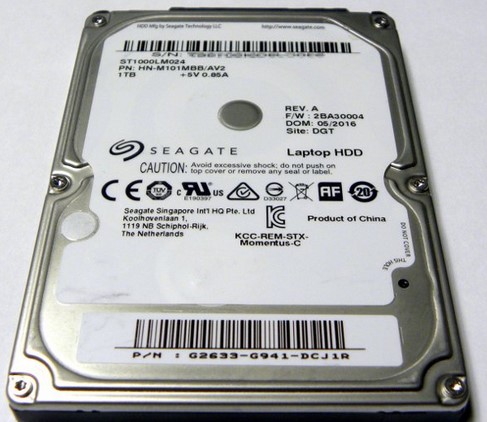 Seagate Momentus ST1000LM024