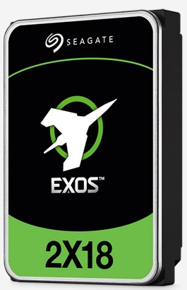 Seagate Exos 2x18.