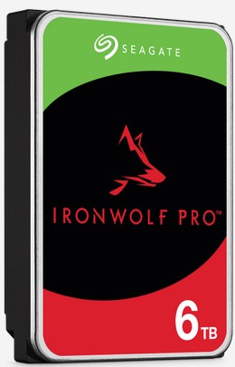 Seagate Ironwolf Pro.